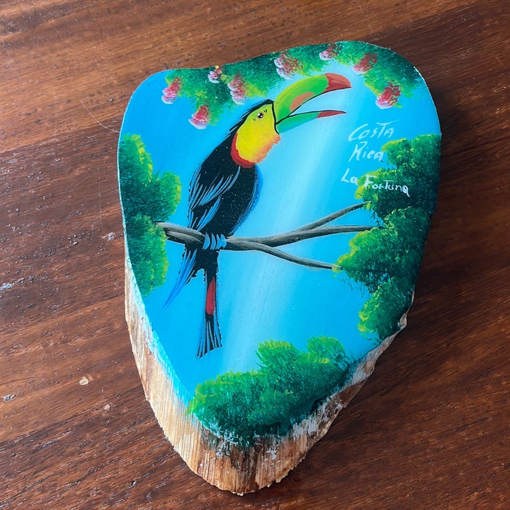 Costa Rica Toucan Decorative Wall Hanging
